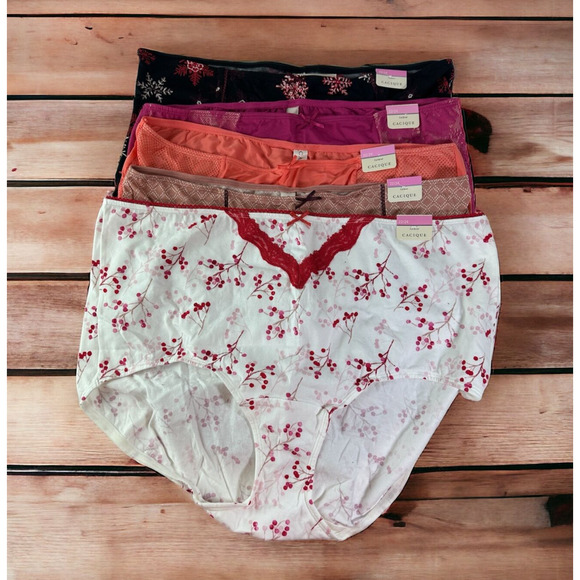 Cacique Other - NWT Cacique Bundle Lot of 5 Panties Full Brief Lace Floral Plus Size 22/24